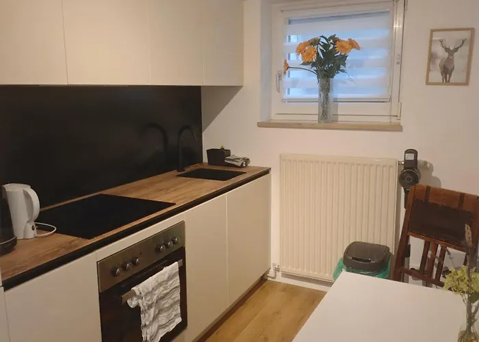 Apartament Ruhige Soutterainwohnung Im Gruenen Hamburg